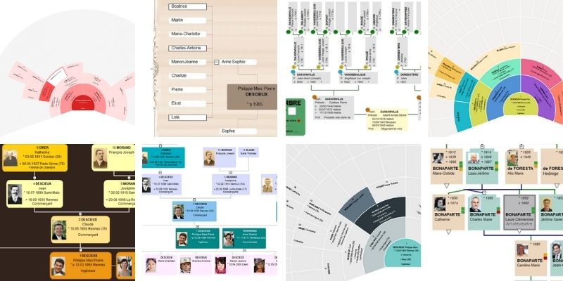 quelques-uns des modèles d'arbres 2022